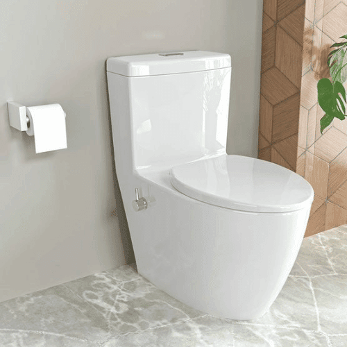 close-couple-toilet.png